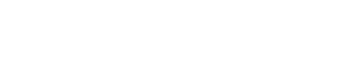 Al Naqeeb Consulting Solutions FZ-LLC